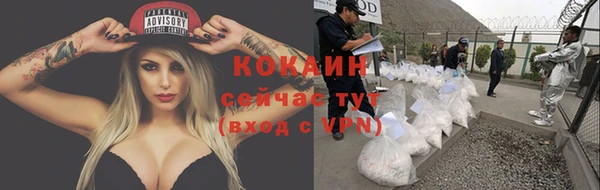 дмт Нефтекумск